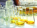 Začal sa 15. ročník Týždňa vedy a techniky